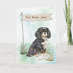Cavalier King Charles Spaniel Känn dig bättre Kiru Kort