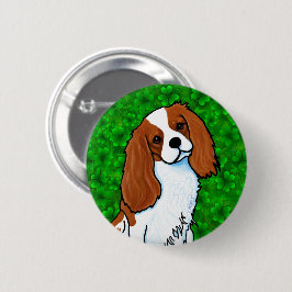 Cavalier King Charles Spaniel Knapp