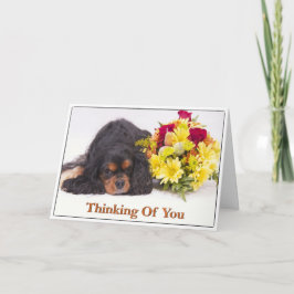 Cavalier King Charles Spaniel-kort som säger 'Tänk Kort