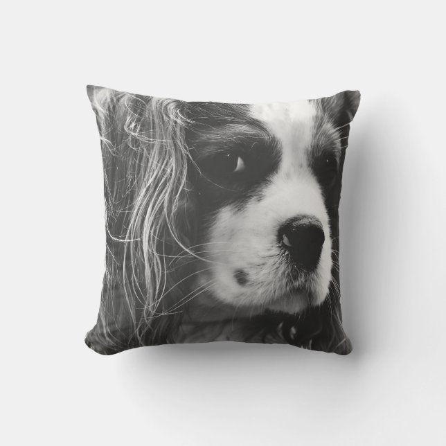 Cavalier King Charles Spaniel Kudde (Framsida)