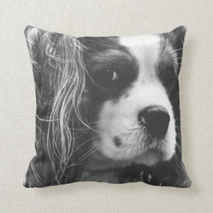 Cavalier King Charles Spaniel Kudde