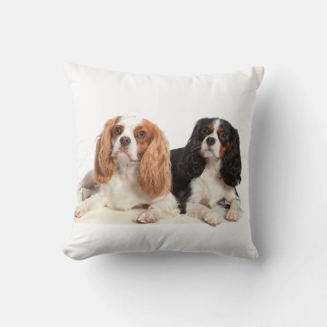 Cavalier King Charles Spaniel Kudde (Framsida)