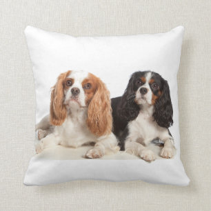 Cavalier King Charles Spaniel Kudde