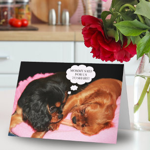 Cavalier King Charles Spaniel Låt oss dela Kort