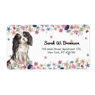 Cavalier King Charles Spaniel Liten Storlek Hund Fraktsedel