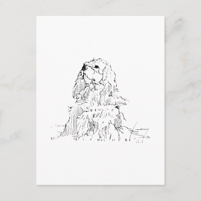 Cavalier King Charles Spaniel, Minimalistisk konst Vykort (Framsida)