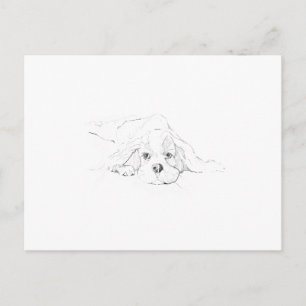 Cavalier King Charles Spaniel Minne Vykort
