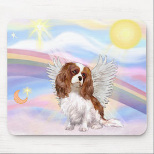 Cavalier King Charles Spaniel Musmatta
