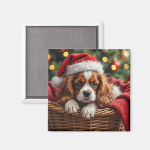 Cavalier King Charles Spaniel Mysig Korg Magnet