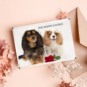 Cavalier King Charles Spaniel Nygifta Kort