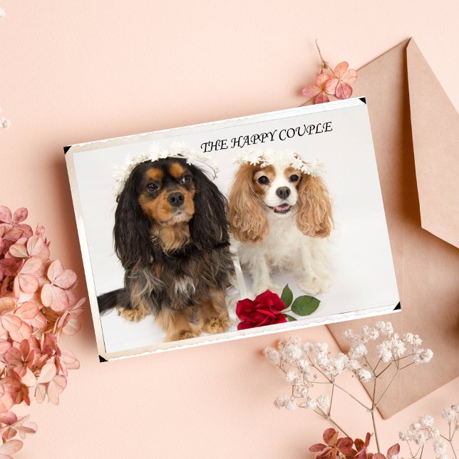 Cavalier King Charles Spaniel Nygifta Kort (Skapare uppladdad)