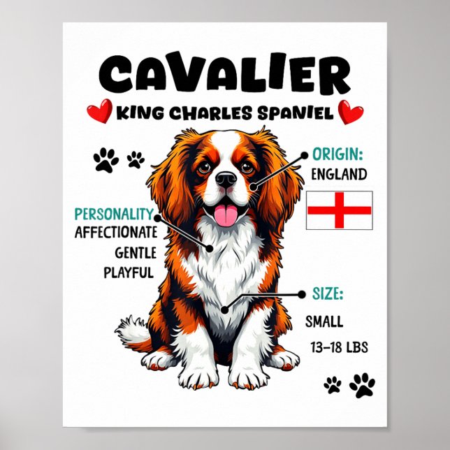 Cavalier King Charles Spaniel Owner Funny Dog Love Poster (Framsidan)