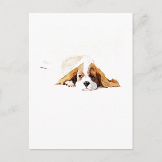 Cavalier King Charles Spaniel Postcard Gift Vykort (Framsida)