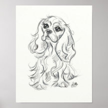 Cavalier king charles spaniel print | sketch art