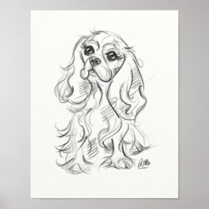 Cavalier king charles spaniel print sketch art poster