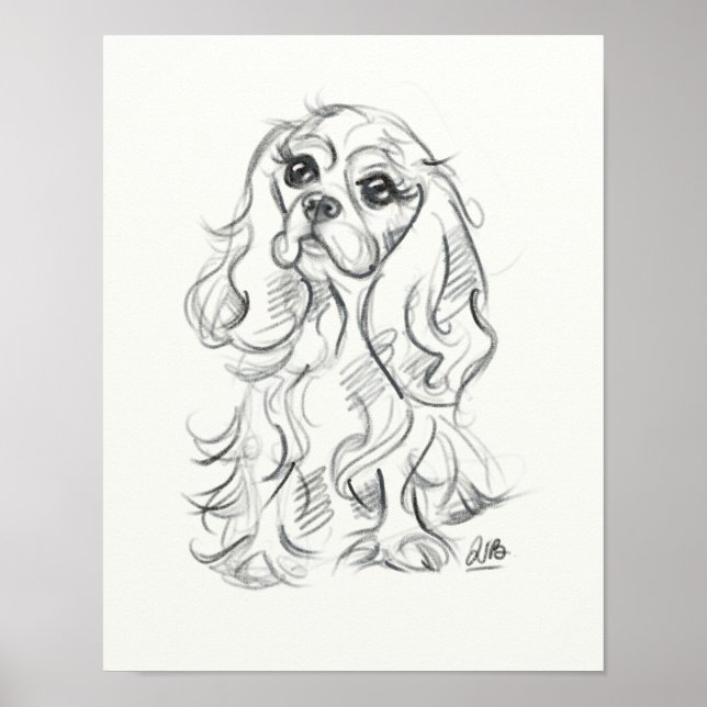 Cavalier king charles spaniel print | sketch art poster (Framsidan)