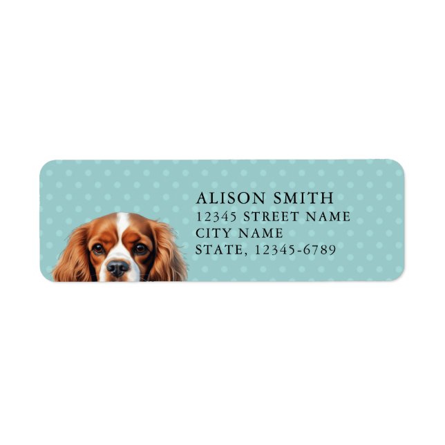 Cavalier King Charles Spaniel Returadressetikett Returadress Etikett (Framsidan)