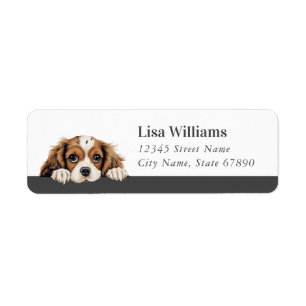 Cavalier King Charles Spaniel Returadressetikett Returadress Etikett