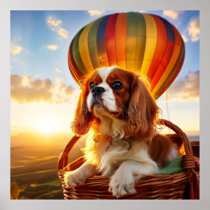 Cavalier King Charles Spaniel Ridande på en Varm B Poster