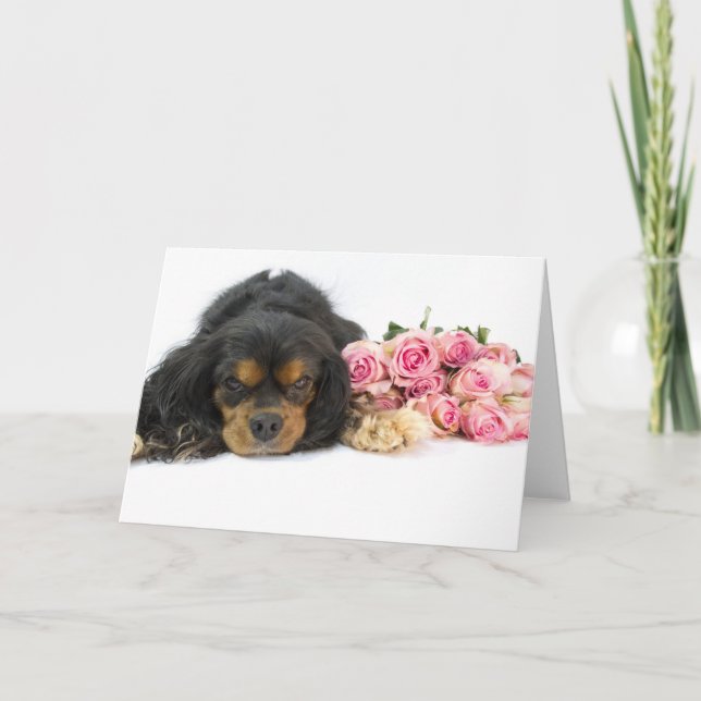 Cavalier King Charles Spaniel Rosa Rosor Hundmadra Kort (Framsida)