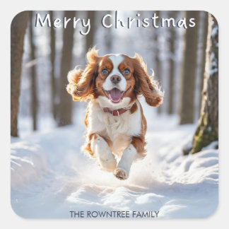 Cavalier King Charles Spaniel Snö God Jul Fyrkantigt Klistermärke