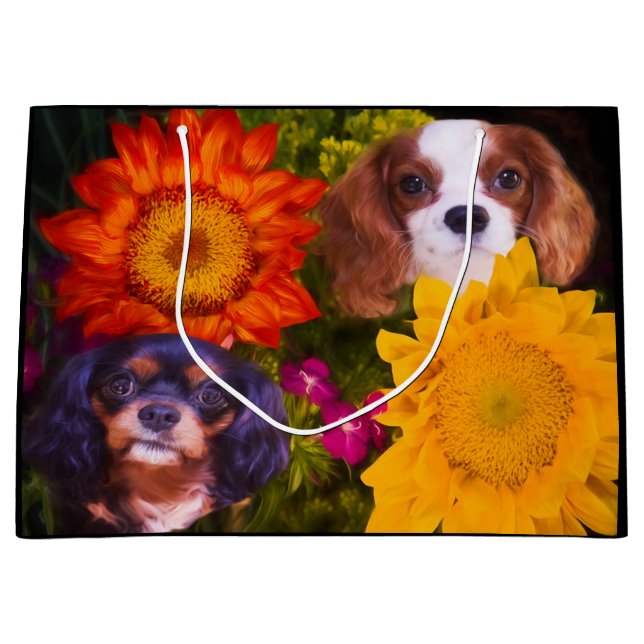 Cavalier King Charles Spaniel Solrosor (Framsidan)