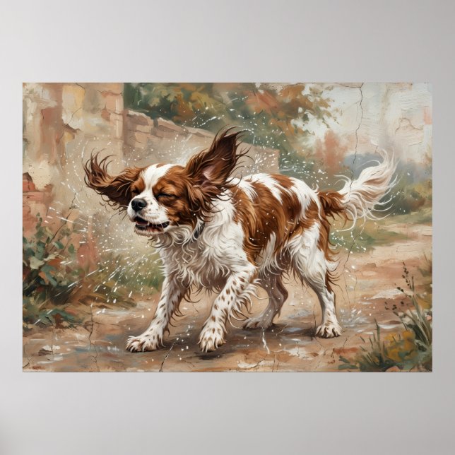 Cavalier King Charles Spaniel som leker i trädgård Poster (Framsidan)