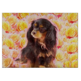 Cavalier King Charles Spaniel svart och tan med or