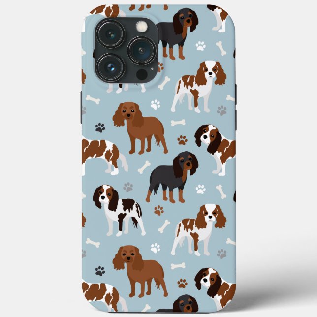 Cavalier King Charles Spaniel Tassar och Ben (Baksida)