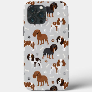Cavalier King Charles Spaniel Tassar och Ben Fall-