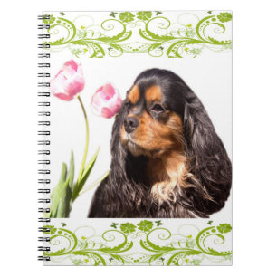 Cavalier King Charles Spaniel Tulpaner Antecknings Anteckningsbok Med Spiral