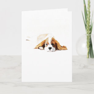 Cavalier King Charles Spaniel Välkomstkort, Presen Kort