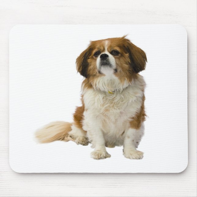 Cavalier King Charles Spaniel Valp Hund Musmatta (Framsidan)