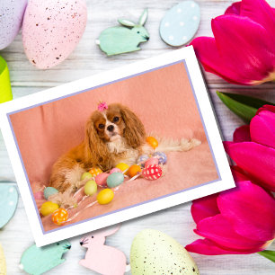 Cavalier King Charles Spaniel Valp Påskkort Helgkort