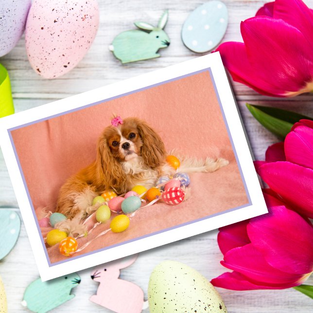Cavalier King Charles Spaniel Valp Påskkort Helgkort (Skapare uppladdad)