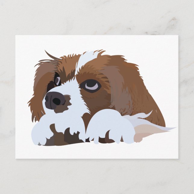 Cavalier King Charles Spaniel Valp  Vykort (Framsida)