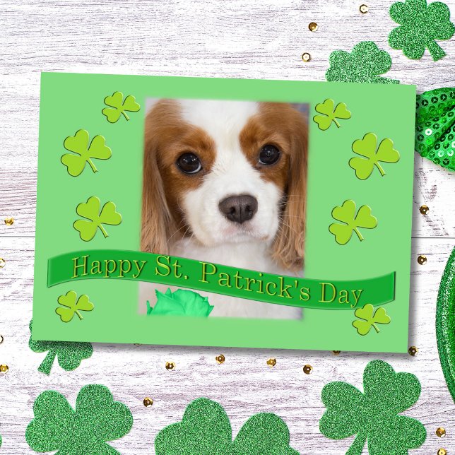 Cavalier King Charles Spaniels St. Patricks Day Kort (Skapare uppladdad)