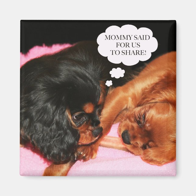 Cavalier King Charles Spaniels Valpar Magnet (Framsidan)