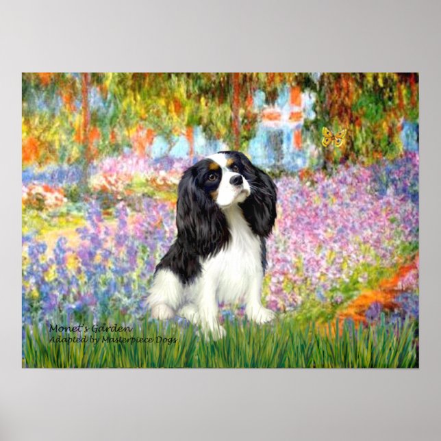 Cavalier King Charles (trefärgad) - Trädgård Poster (Framsidan)