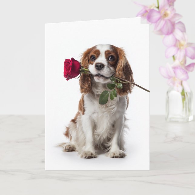 Cavalier King Charles Valentine – Öm kärlek Kort (Orkide)