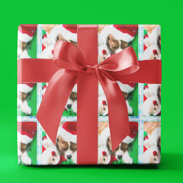 Cavalier King Charles-valp sover jul Presentpapper
