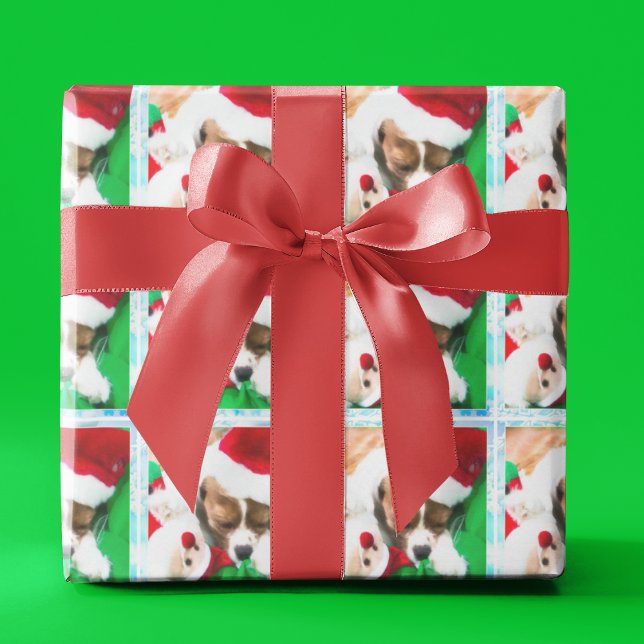 Cavalier King Charles-valp sover jul Presentpapper (Skapare uppladdad)