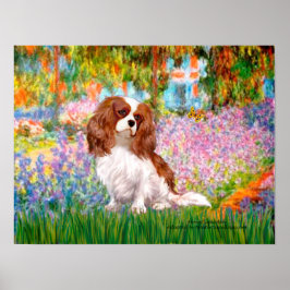 Cavalier Kung Charles (Blenheim) - Garden Poster