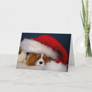 Cavalier Kung Charles Blenheim Santa Card Helgkort