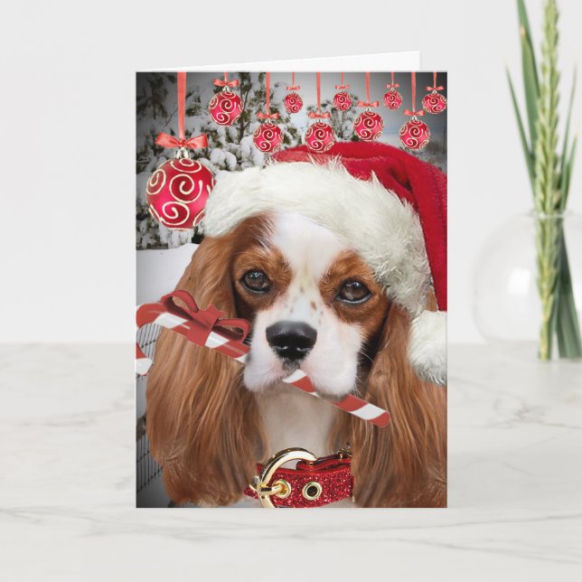 Cavalier Kung Charles God jul-kort Helgkort (Framsida)