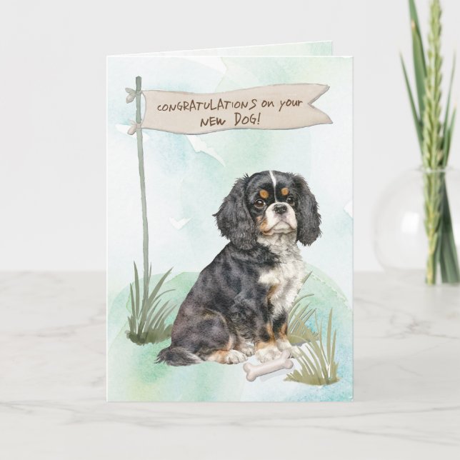 Cavalier Kung Charles Grattiss New Hund Kort (Framsida)