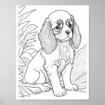 Cavalier Kung Charles Hund Vuxen Coloring