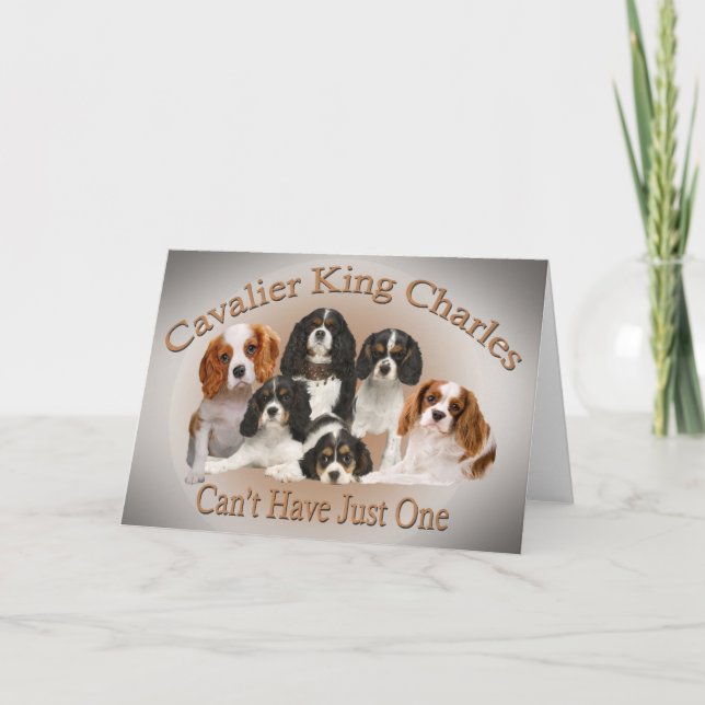 Cavalier Kung Charles kan inte ha bara en gåva Helgkort (Framsida)