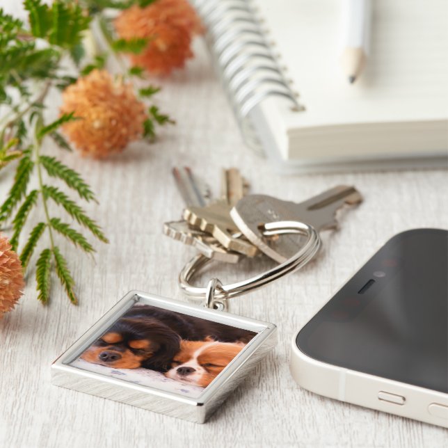 Cavalier Kung Charles Keychain (Spipande buddies C Fyrkantig Silverfärgad Nyckelring (Sidan)