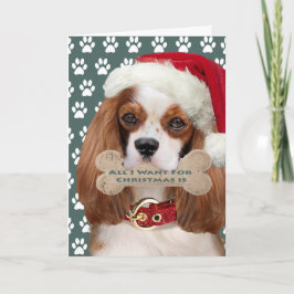 Cavalier Kung Charles Kisses till jul Helgkort